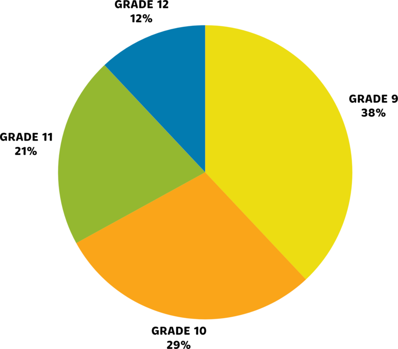 Career Fair student participation pie chart